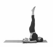 40salambasavangasana