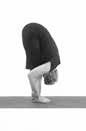 56uttanasana